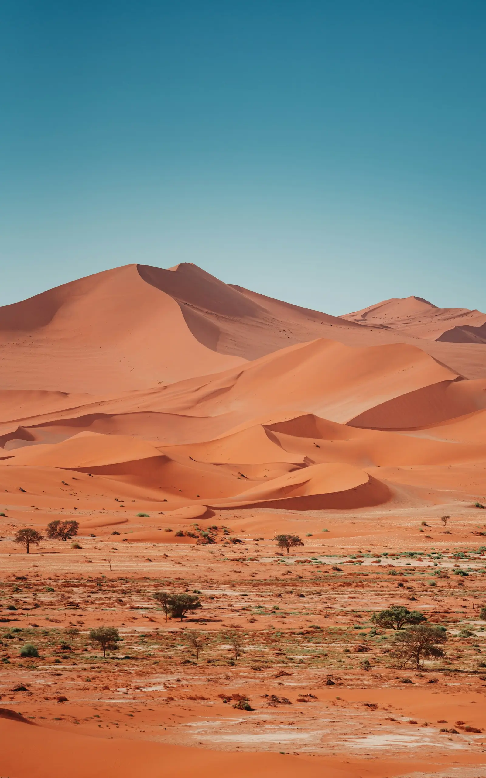 Dünen von Sossusvlei, Namibia